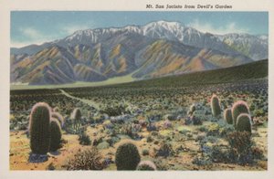Kalifornien: Mount San Jacinto från Devil´s Garden (foto) av American Photographer (after)