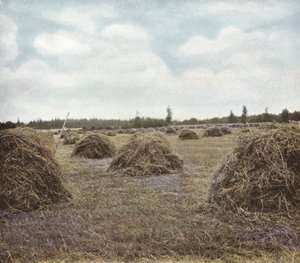 Oregon: Alfalfa (foto) av American Photographer (after)