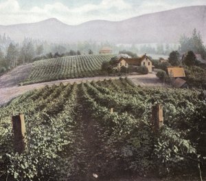 Oregon: Diversifierad jordbruk i Willamette Valley (foto) av American Photographer (after)