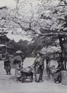 Under körsbärsblomman i Shiba Park, Tokio (s/v foto) av American Photographer (after)