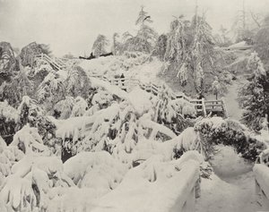 Vinterlöv på Luna Island (svart/vitt foto) av American Photographer (after)