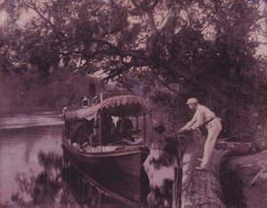 Vinter i Florida (s/v foto) av American Photographer (after)