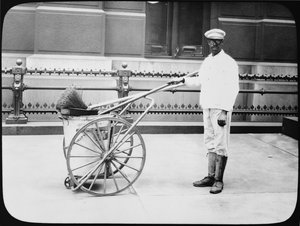 City Street Cleaner, Philadelphia, ca 1920 av American Photographer