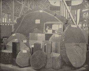 Gladstones Yxa av American Photographer