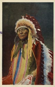 Hollow Horn Bear, Sioux indianhövding (foto) av American Photographer