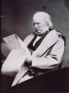 Horace Greeley (1811-72) (s/v foto) av American Photographer