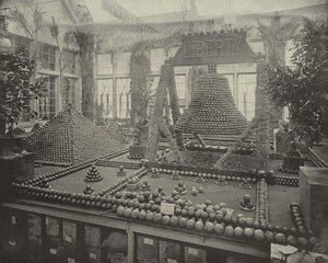 Liberty Bell i apelsiner av American Photographer