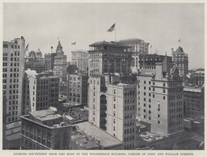 Ser sydväst från taket på Woodbridge Building, Corner of John and William Streets (s/v foto) av American Photographer