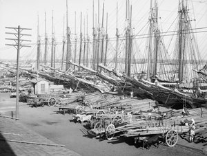 Muelle Tallapiedras, Havanna, ca 1904 (s/v foto) av American Photographer