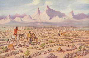 Mojave-indianernas mystiska labyrint, nära Needles, Kalifornien (färgfoto) av American Photographer