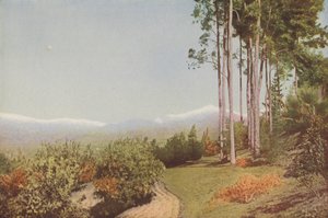 "Old Baldy", från Smiley Heights, Kalifornien (färgfoto) av American Photographer