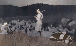 Palestinska herdar som vaktar sin hjord på natten (färgfoto) av American Photographer