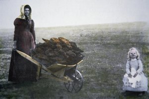 Pionjärkvinna som samlar boskapsdynga, Kansas, ca 1880 (färgat foto) av American Photographer