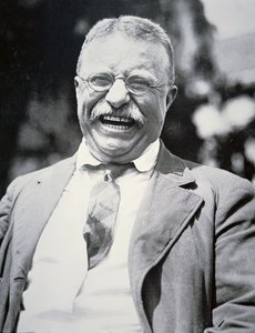 President Theodore Roosevelt, ca 1917 (foto svart/vitt) av American Photographer