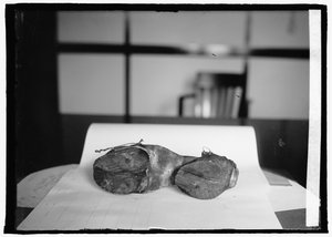 Förbudsenhet (koskor), 28 juni 1924 (s/v foto) av American Photographer