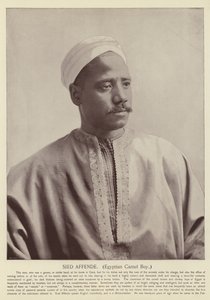 Sied Affende, egyptisk kamelpojke