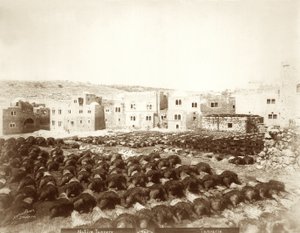 Garveri i Hebron med hudar utlagda i förgrunden, 1898-1911 av American Photographer