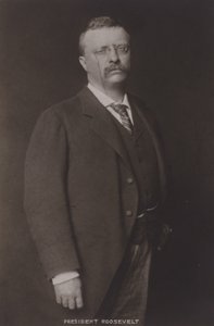 Theodore Roosevelt, USA:s 26:e president, 1904 av American Photographer
