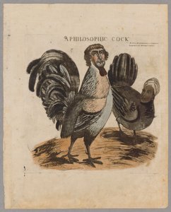 En filosofisk kuk, 1804 av American School