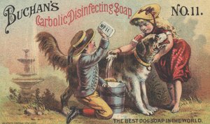 Annons för Buchans Carbolic Disinfecting Soap No. 11, c.1880 av American School