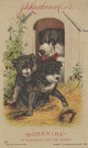 Annons för J. D. Larkin & Cos Boraxine, 1882 av American School