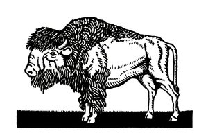 American Bison of the Old West av American School