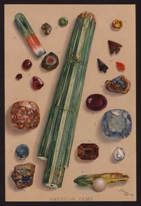 Amerikanska ädelstenar (färglitografi) av American School