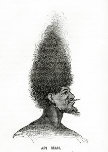 Api Man, illustration från Appletons Journal, 4 maj 1872 av American School
