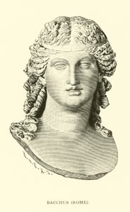 Bacchus, Rom av American School