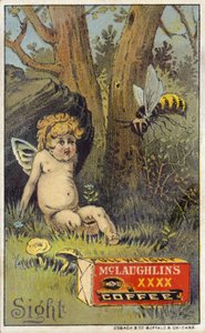 Bee attackerar putto av American School