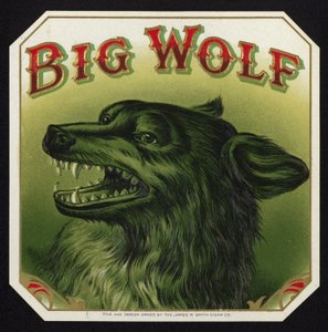 Black Wolf blottar tänder av American School