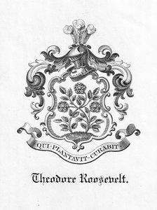 Bokskylt av president Theodore Roosevelt (1858-1919) (tryck) av American School