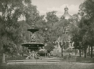 Boston Common (fotogravyr) av American School