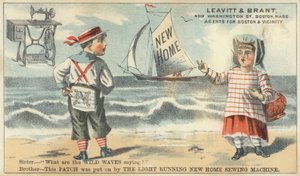 Bror Och Syster På Stranden av American School