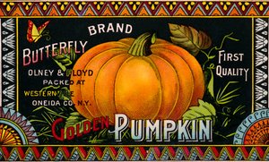 Butterfly Golden Pumpkin Produktetikett av American School