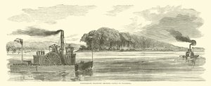 Konfedererade transporter som förde boskap till Vicksburg, februari 1863 av American School
