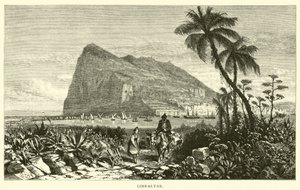 Gibraltar av American School