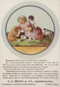 Flicka Sitter På Filt Med Valpar av American School