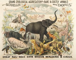 Grand Zoological Aggregation av sällsynta och kostsamma djur med Batcheller och Doris (chromolitho) av American School