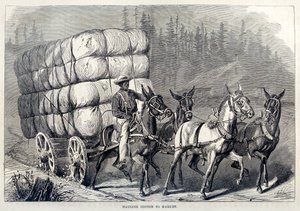 Hauling Cotton to Market, från etthundraåriga framsteg i USA, pub. 1871 gravyr av American School
