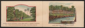 Hotel Trade Card (färgad gravyr) av American School