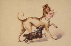 Stor och liten hund som springer av American School