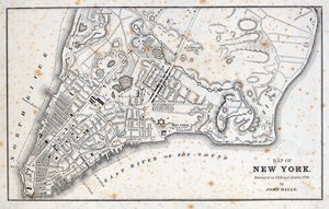 Karta över New York (litho) av American School