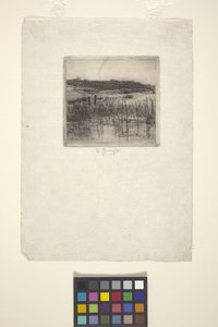 Marsh (etsning) av American School
