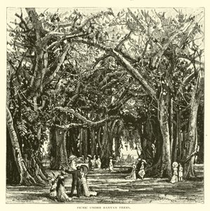 Picknick under banyanträd av American School