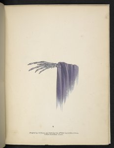Tallrik 8. En skeletthand.  Spectropia; eller, överraskande spektrala illusioner som visar spöken överallt, och av vilken färg som helst, etc. ser. 1.  J H. Brun  1864 av American School