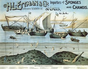Affischreklam H.L. Ettman & Co., importörer av svampar och sämskskinn, 1897