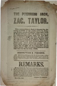 Förhandlingar och adress för konstitutionella konventet, ca 19 mars 1861 av American School