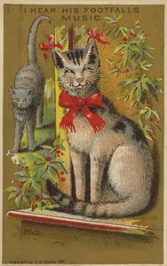 Stolt leende katt. av American School