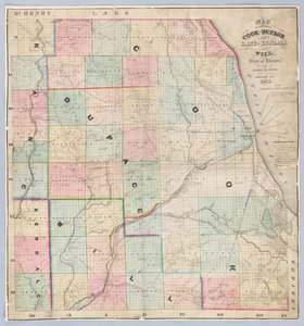 Rees karta över Cook och DuPage Counties av American School